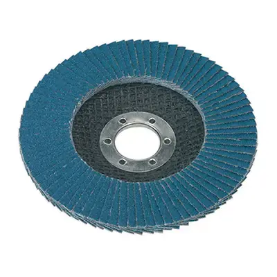 Flap Discs