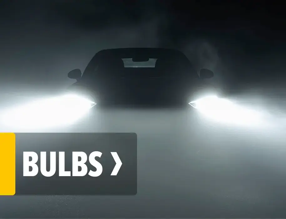 Bulbs