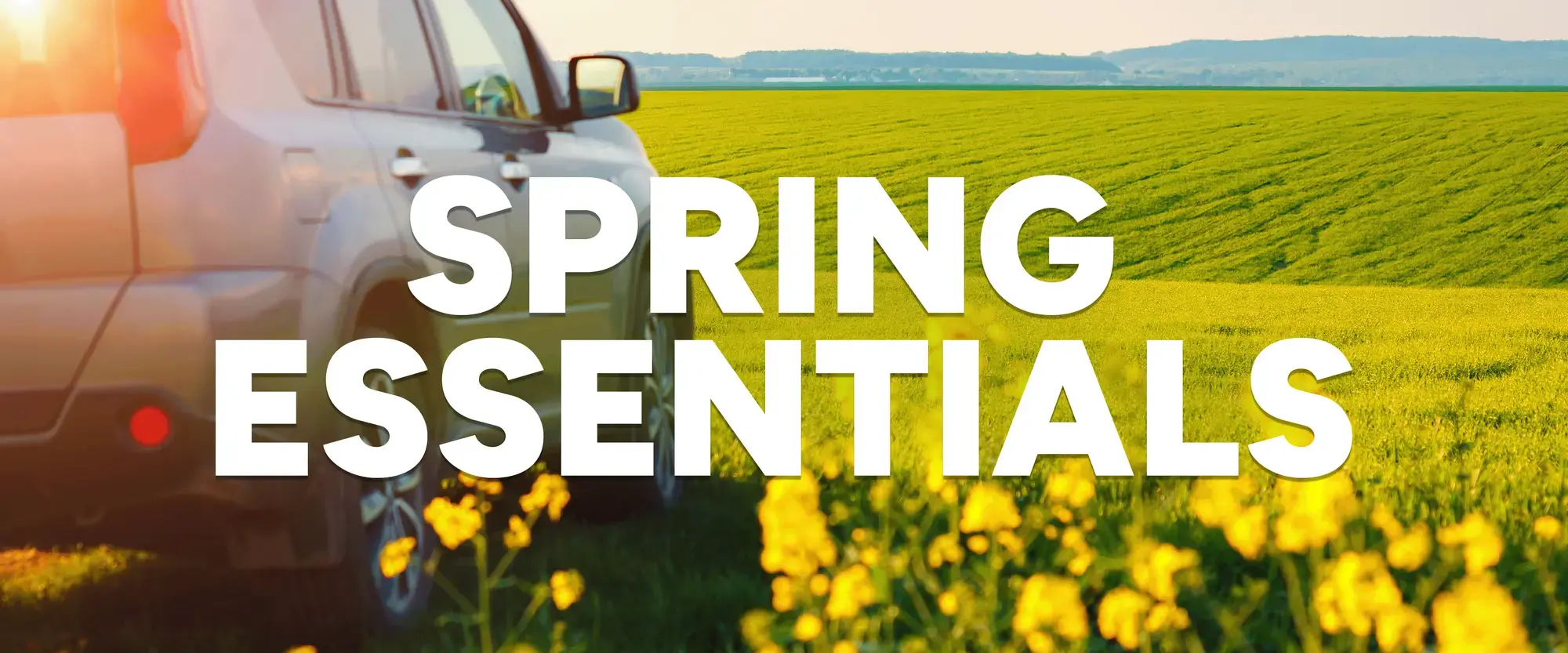 Spring Header Banner