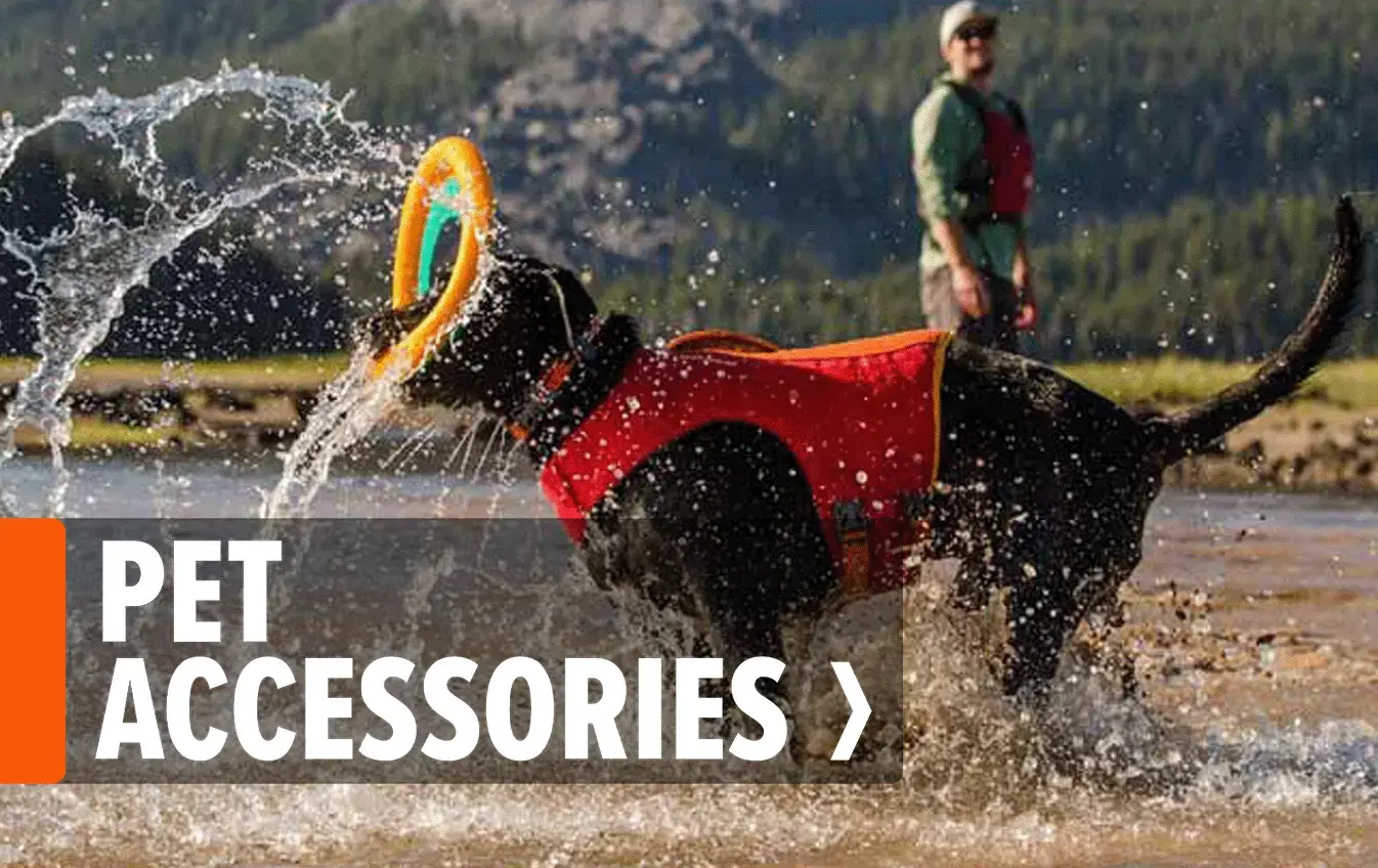 Pet Accessories