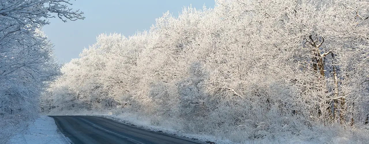 Winter scene of a snow-laden road with trees, highlighting the challenges of driving in snowy conditions.