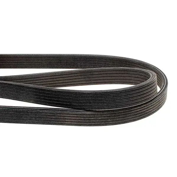 Dayco Drive Belt