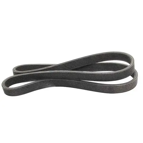 Dayco Drive Belt