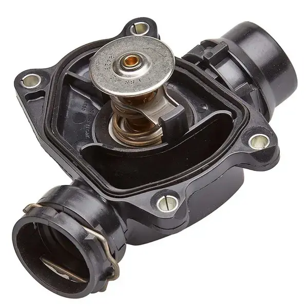 Mahle Thermostat