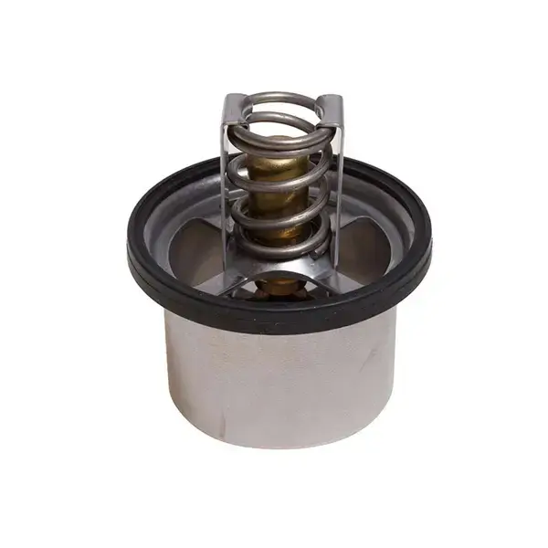 Mahle Thermostat