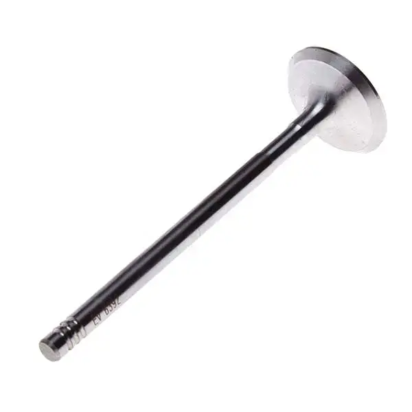 MOTIVE Exhaust Valve