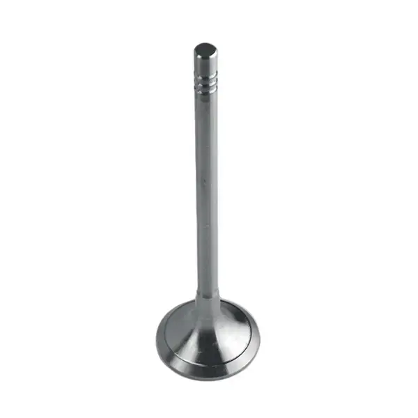 MOTIVE Exhaust Valve