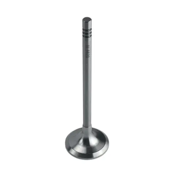 MOTIVE Inlet Valve
