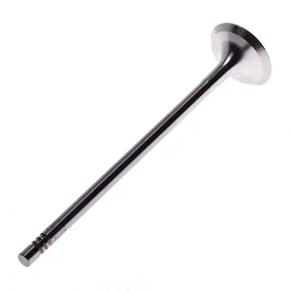 TRW Exhaust Valve