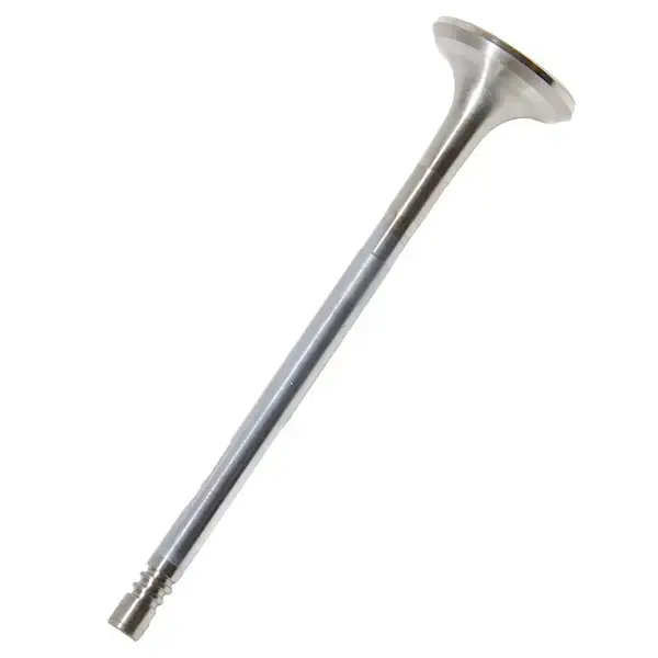 TRW Exhaust Valve