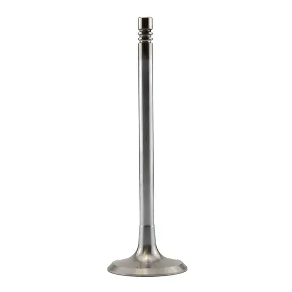 MOTIVE Exhaust Valve
