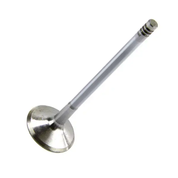 MOTIVE Inlet Valve