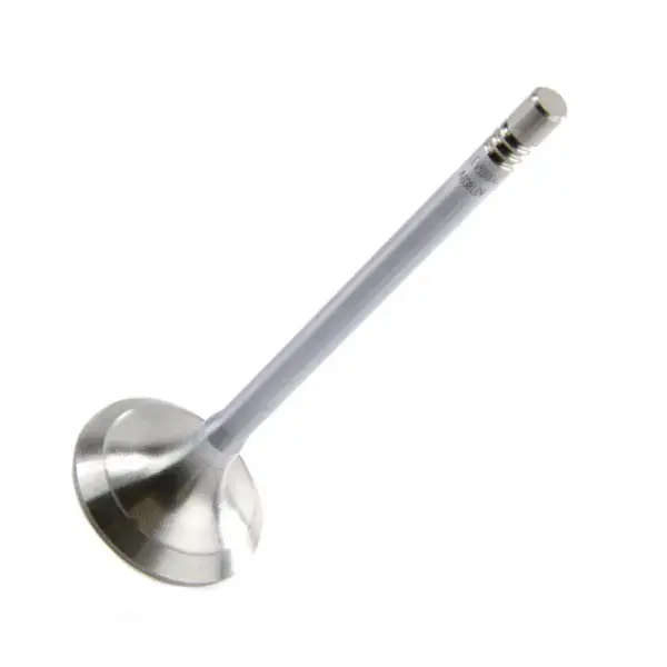 MOTIVE Exhaust Valve