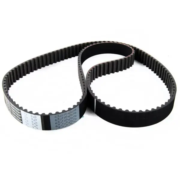 Dayco Timing Belt Ct949 Renault | 941020 | Euro Car Parts