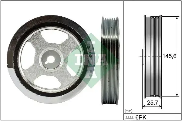 Ina Vibration Damper Drive Belt