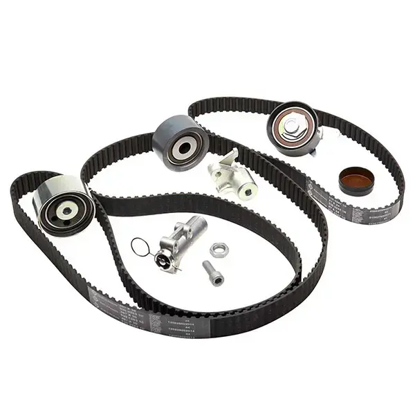 Ina T/belt Kit Vag 2.5Tdi 98-05 (Inc Vibration Damper) | 530 0539 10 | Euro Car Parts