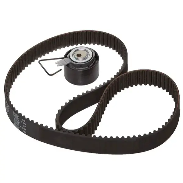 Ina Timing Belt Kit