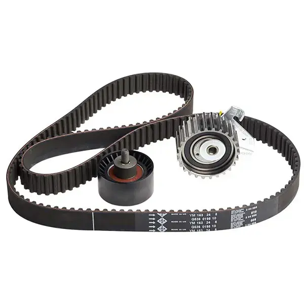 Ina Timing Belt Kit