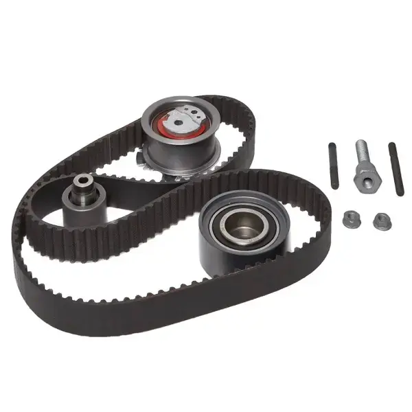 Ina Timing Belt Kit