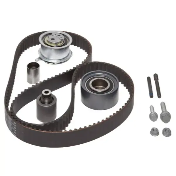 Ina Timing Belt Kit