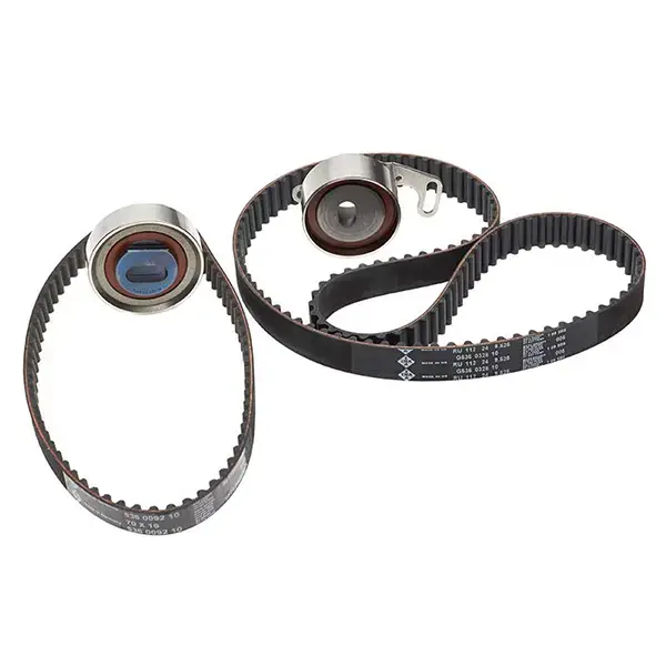 Ina Timing Belt Kit