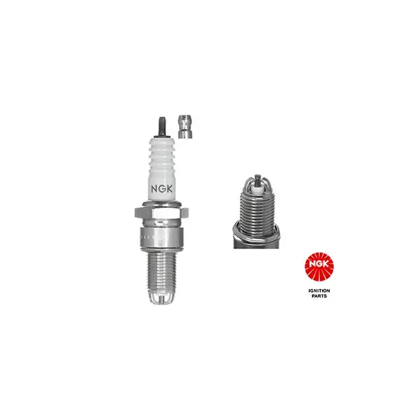 NGK Spark Plug