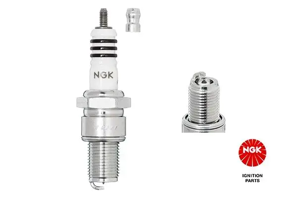 NGK Spark Plug