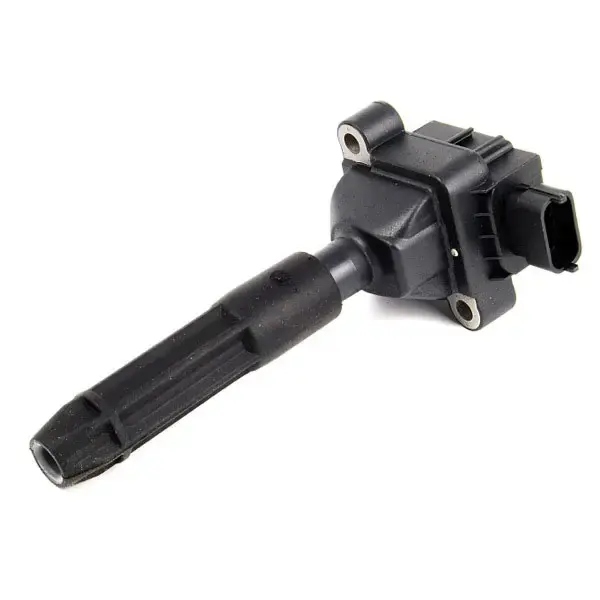 BERU Ignition Coil