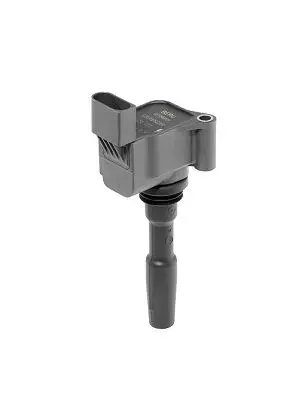 BERU Ignition Coil
