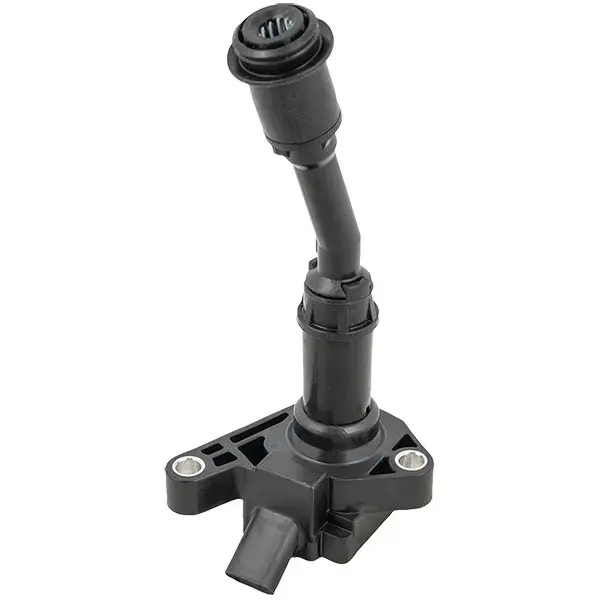 ERA Ignition Coil