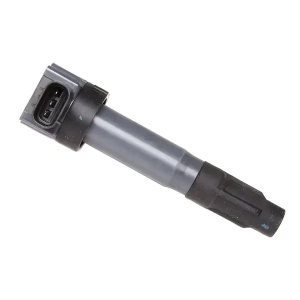 Delphi Ignition Coil