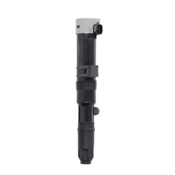 Delphi Ignition Coil