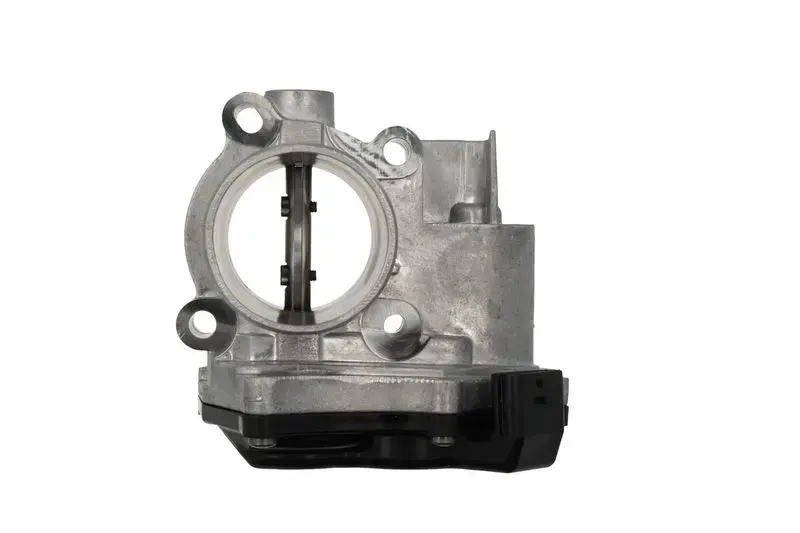 Valeo Throttle Body