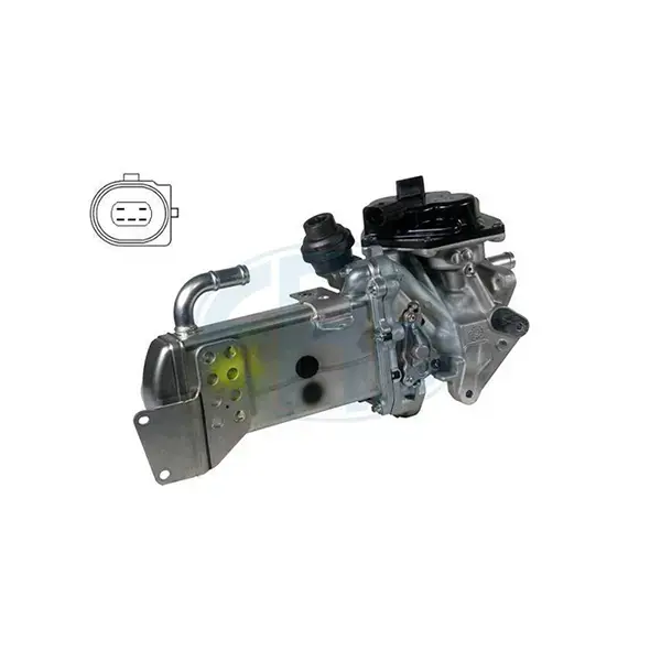 ERA EGR Valve