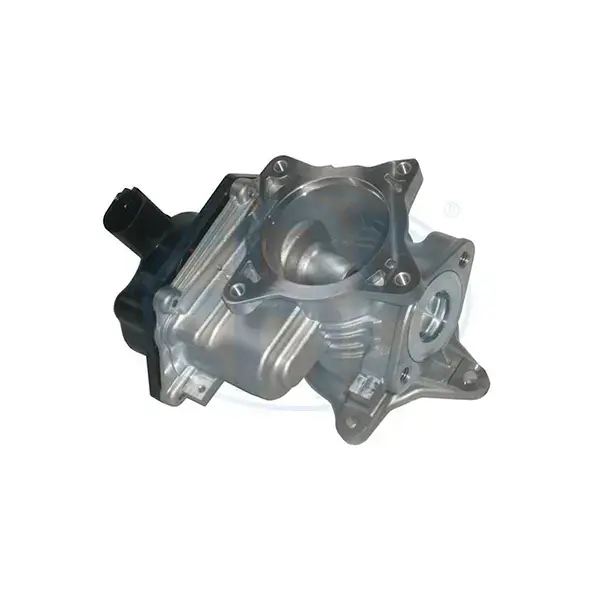 ERA EGR Valve