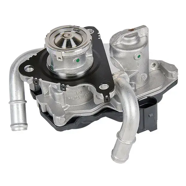 ERA EGR Valve