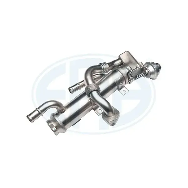 ERA EGR Valve Cooler