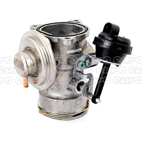 Delphi EGR Valve