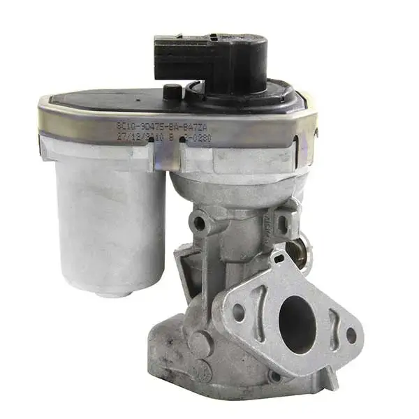 Delphi EGR Valve