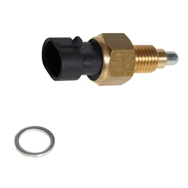 ERA Reverse Lamp Switch