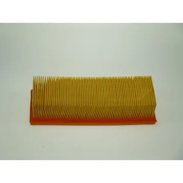Fram Air Filter