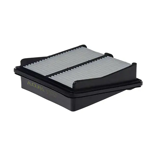 Audura Air Filter