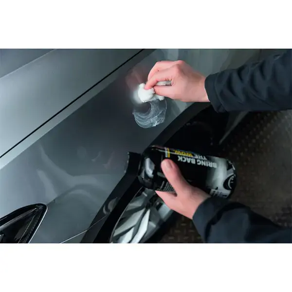 Karcher Polish and Wax