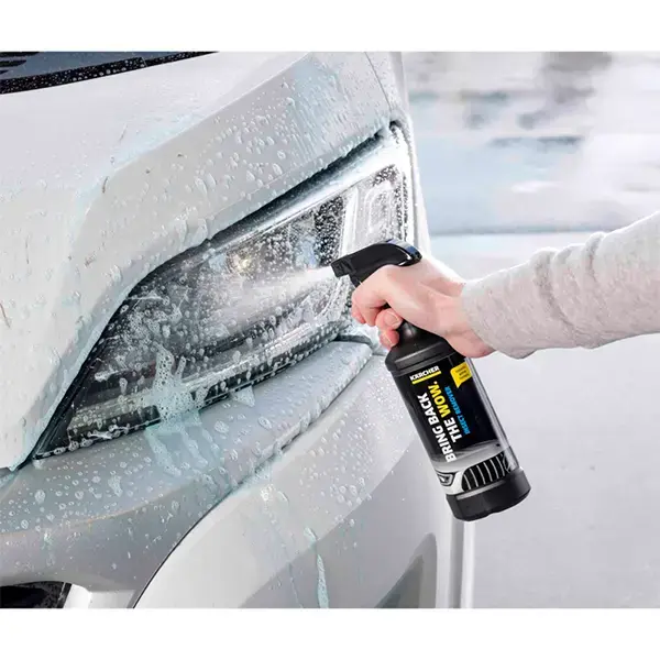 Karcher Insect Remover