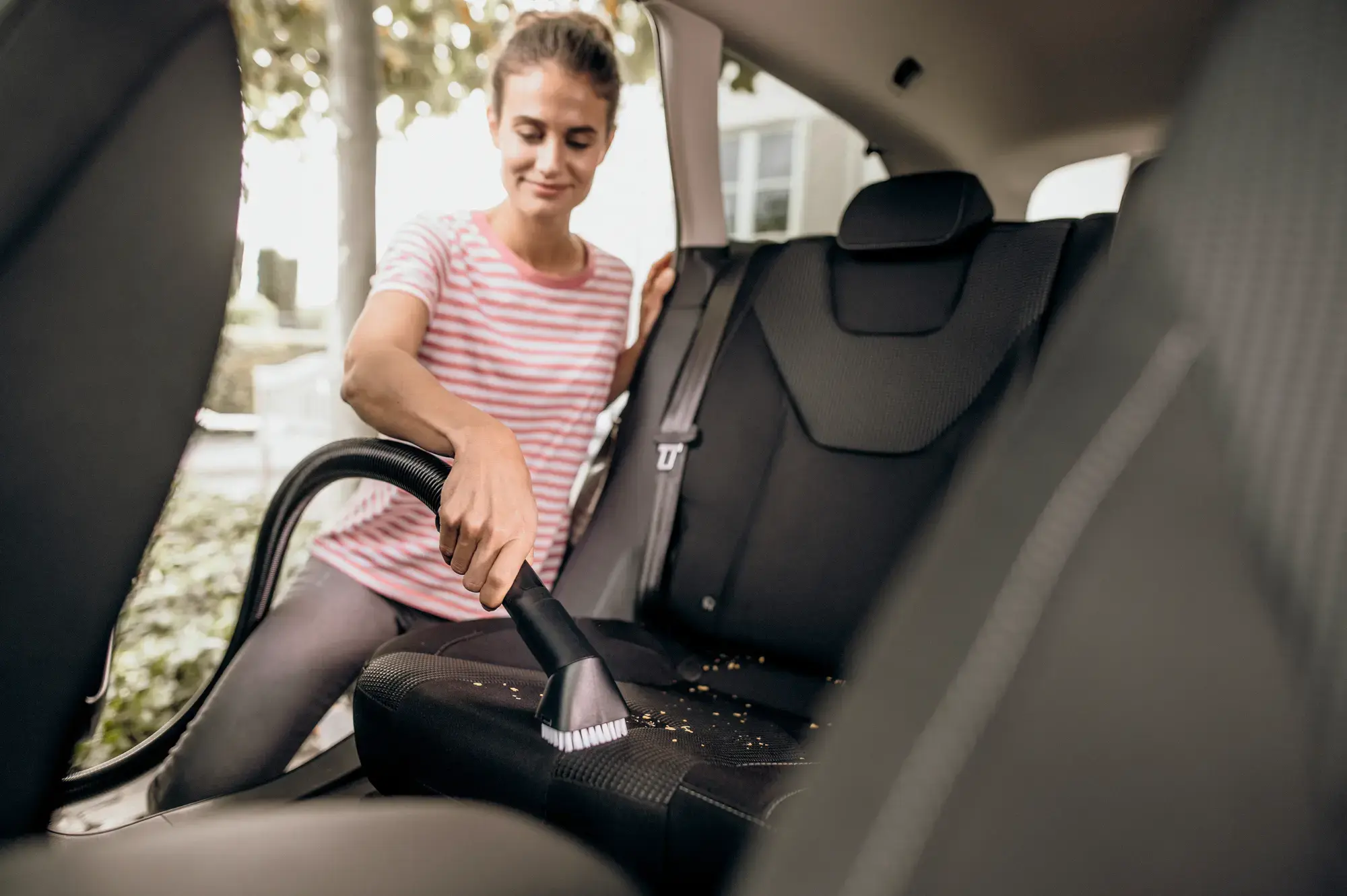 Karcher WD Car Brush Set