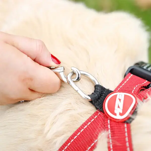 Streetwize Dog Anchor/Screw Peg with Tether