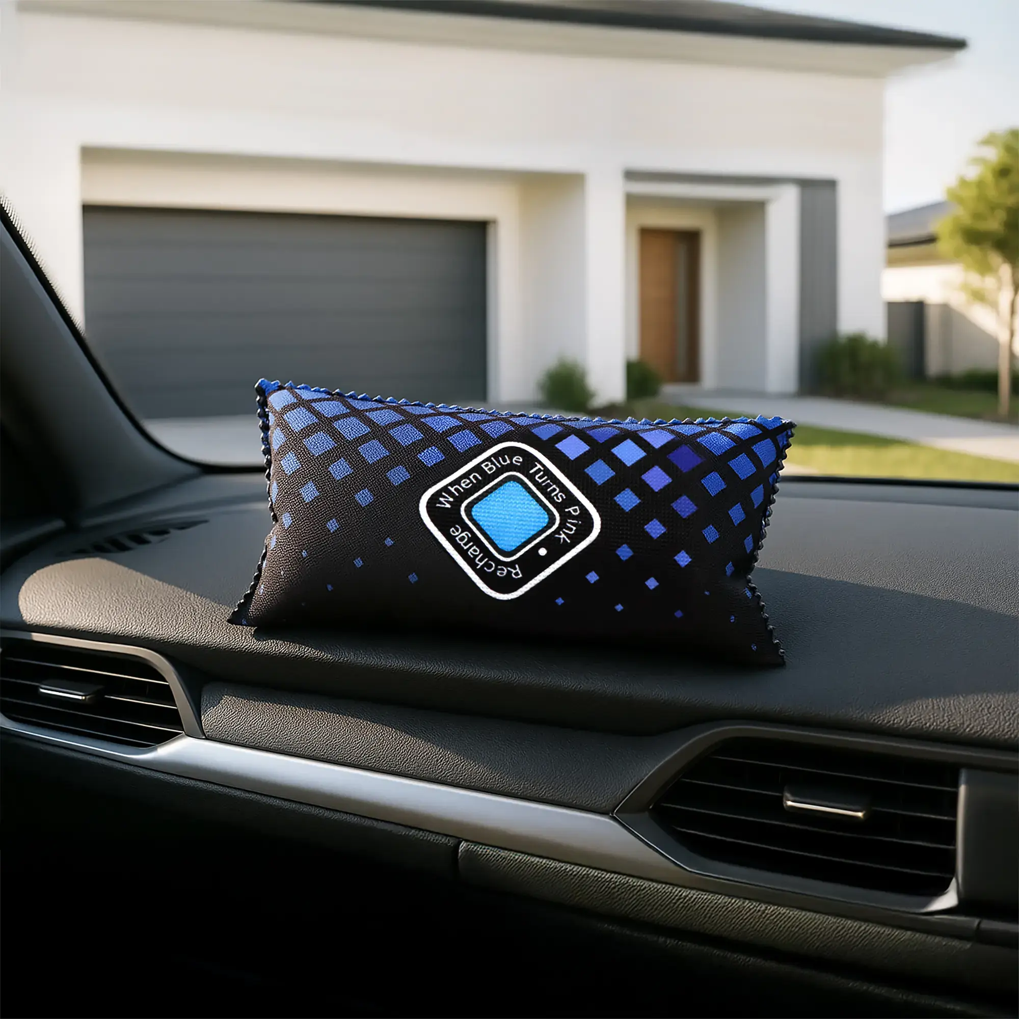 Streetwize Car Dehumidifier