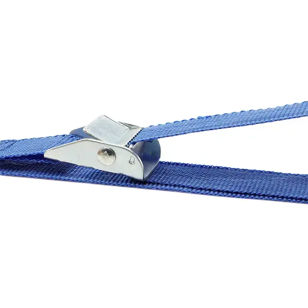 Streetwize 2.5 mtr Buckle Tie Down Pair