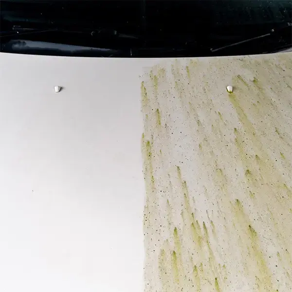 Auto Finesse Dynamite Traffic Film Remover 5Ltr