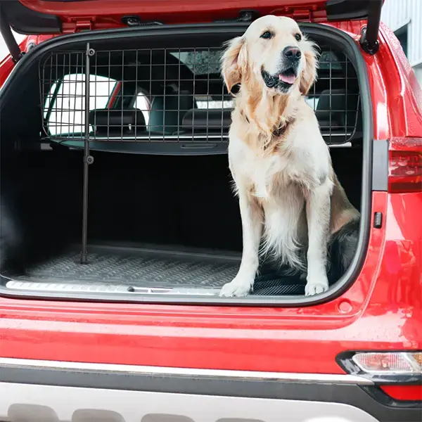 Streetwize Universal Dog Guards (Mesh Grille)